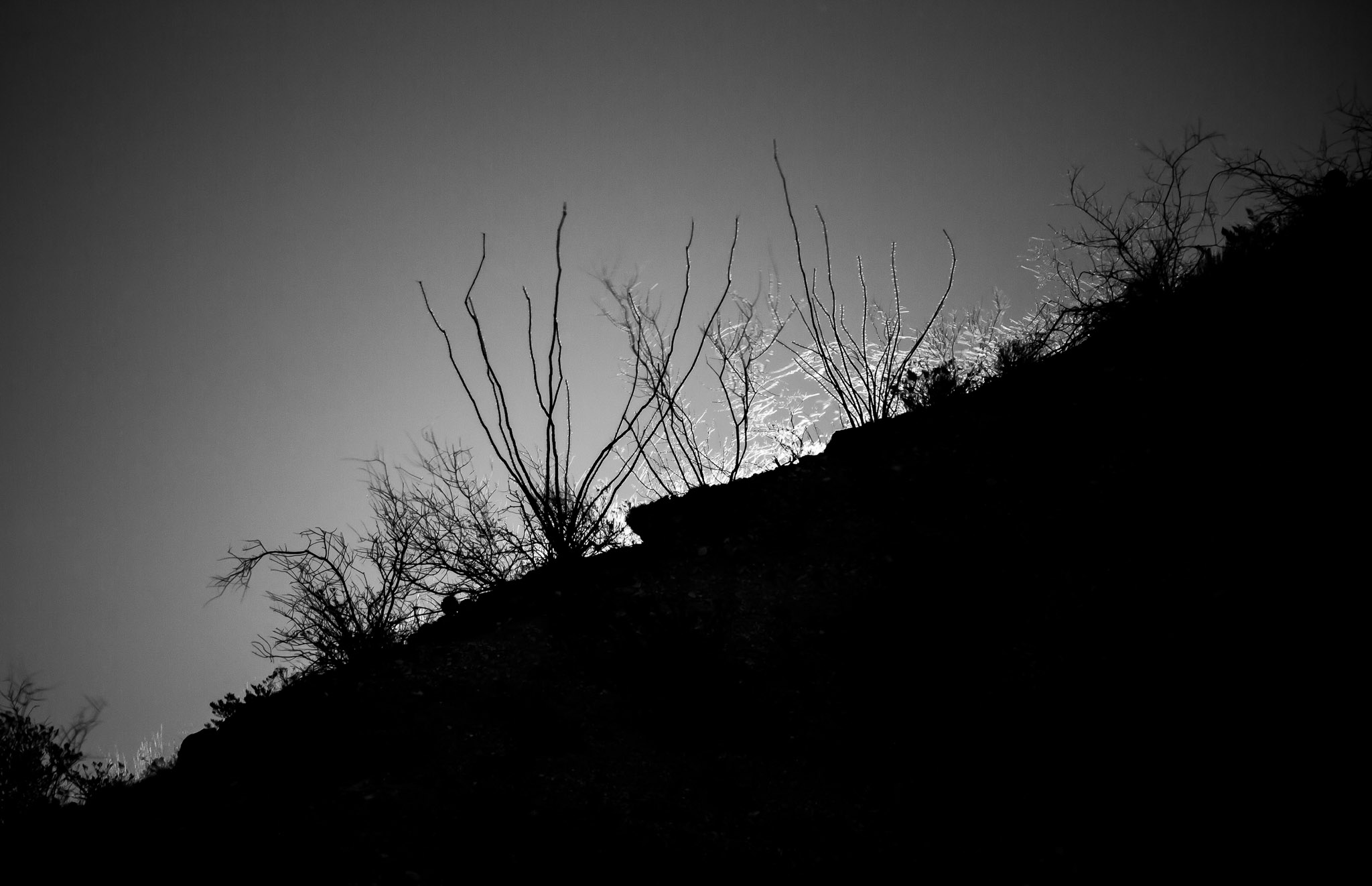 Moon rising behind the mountain, Caballo Lake State Park, Caballo NM, December 24, 2015