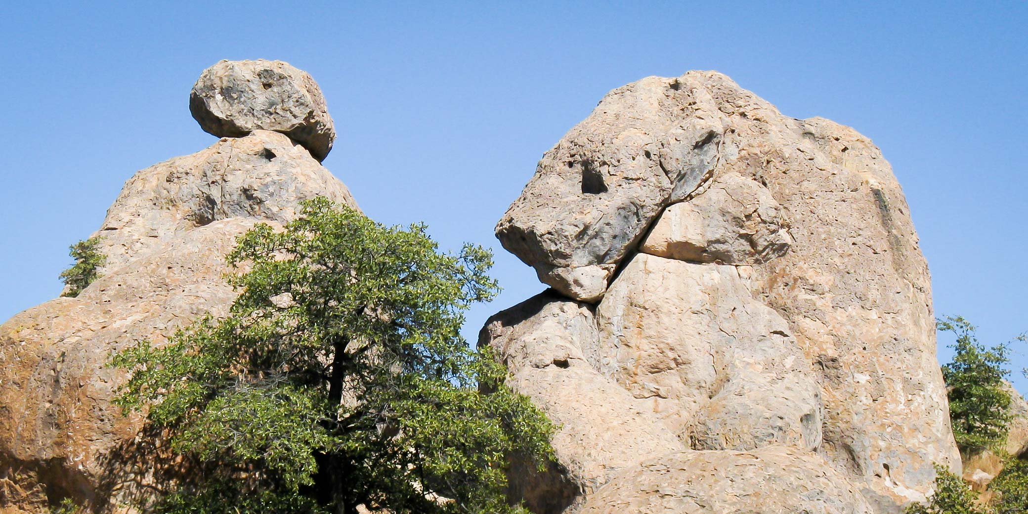 Rock formation, City of Rocks State Park, Faywood NM, February 19, 2009