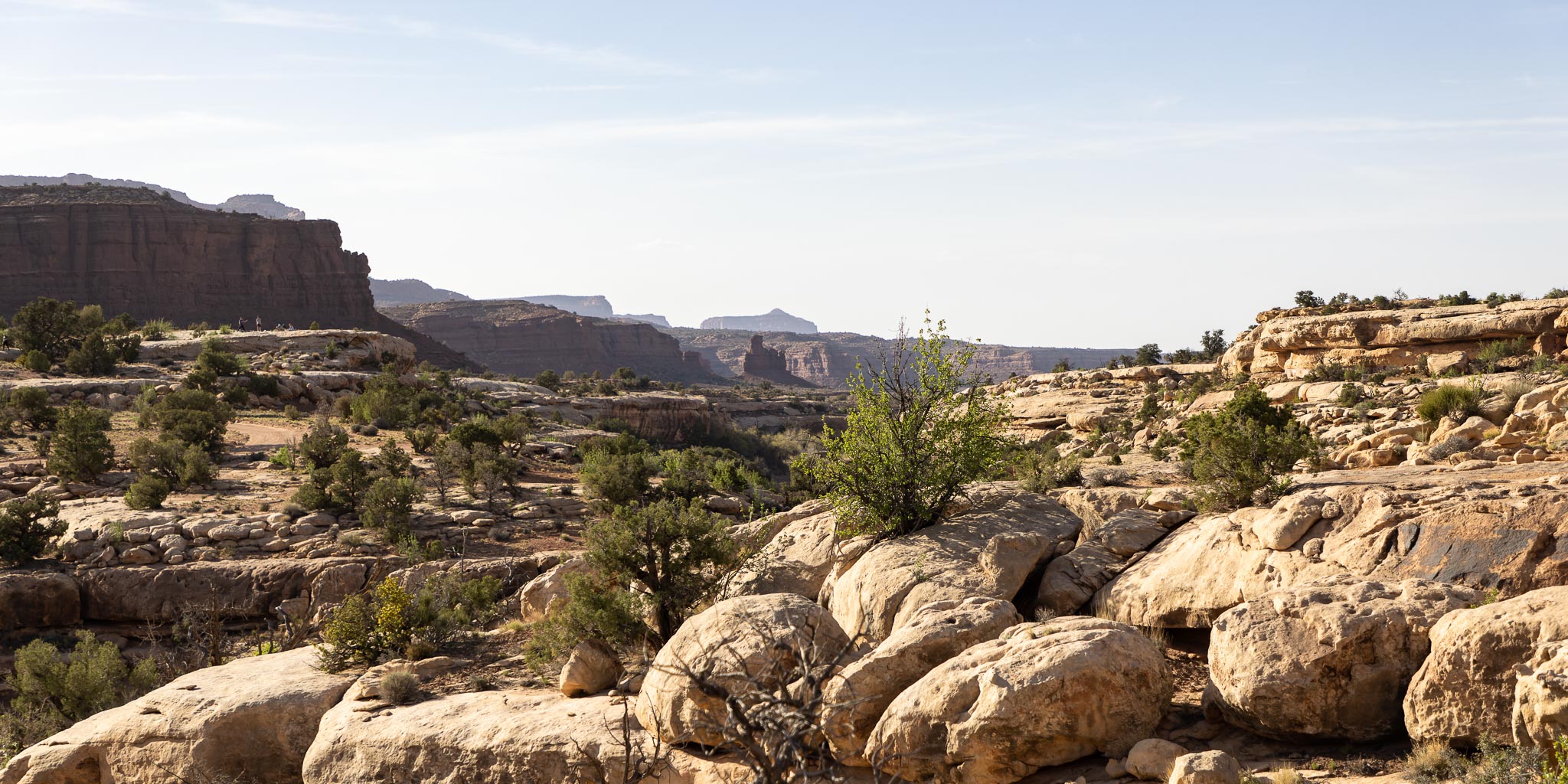 White Canyon at Soldier Crossing, Fry Canyon UT, April 20, 2022