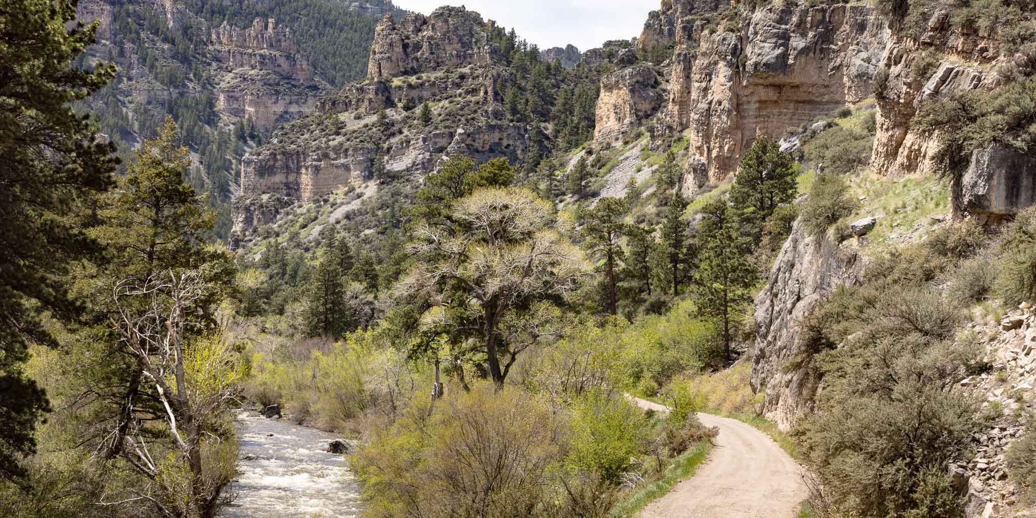Tongue River Canyon, Dayton WY