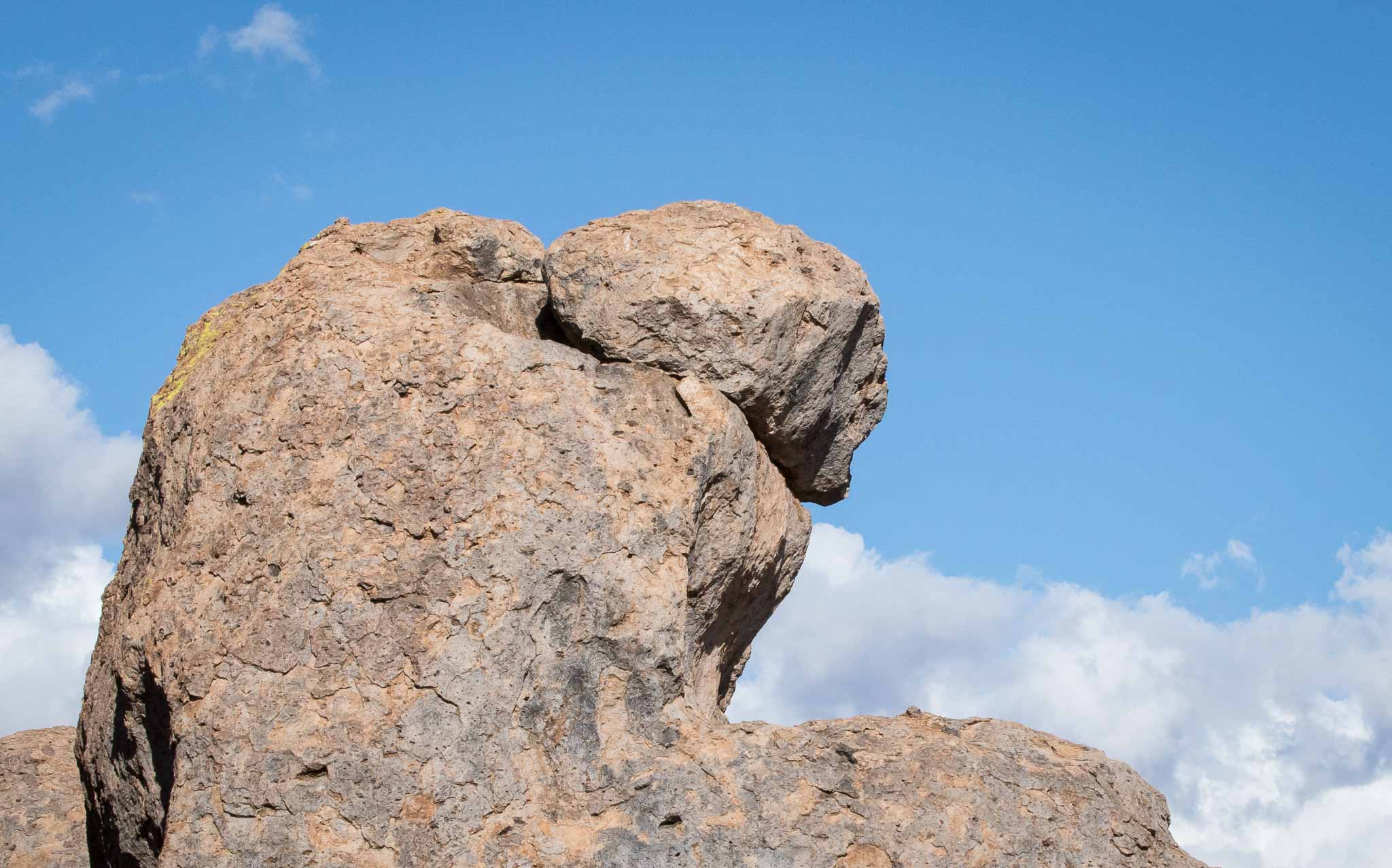 Rock formations, City of Rocks State Park, Faywood NM, March 4, 2015