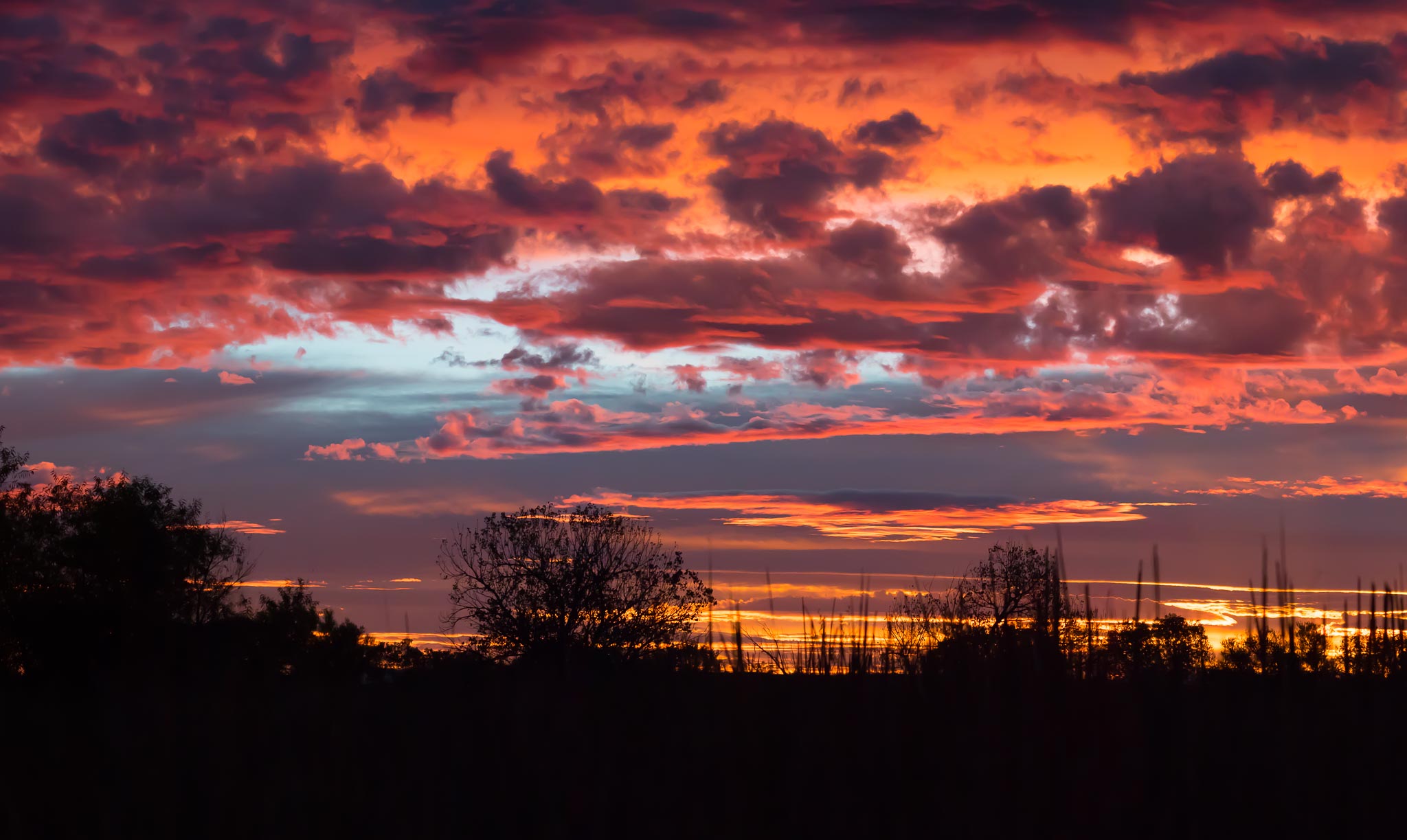 Red sky at sunrise, Bosque del Apache National Wildlife Refuge, San Antonio NM, November 1, 2016