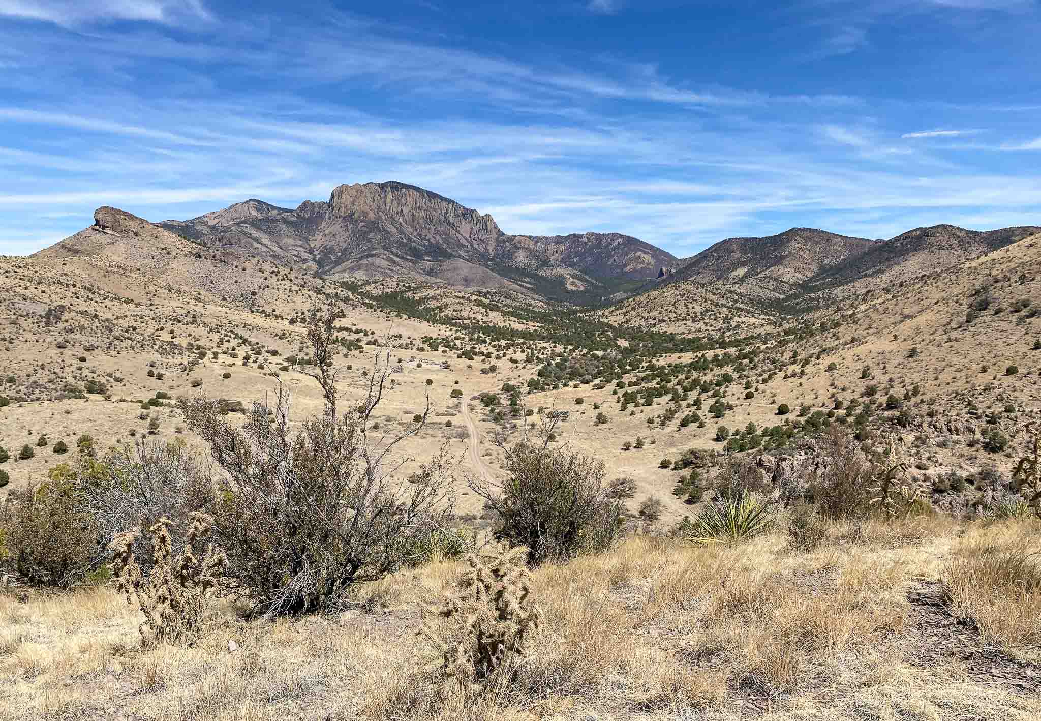 View from the ridge of Luna Park and the road to Vicks Peak and Springtime Campground