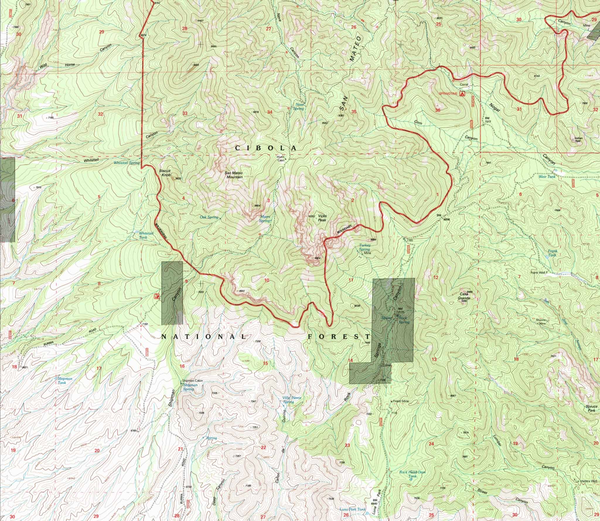 The road from Luna Park to Springtime Campground on the 1995 USGS Vicks Peak Quadrangle map