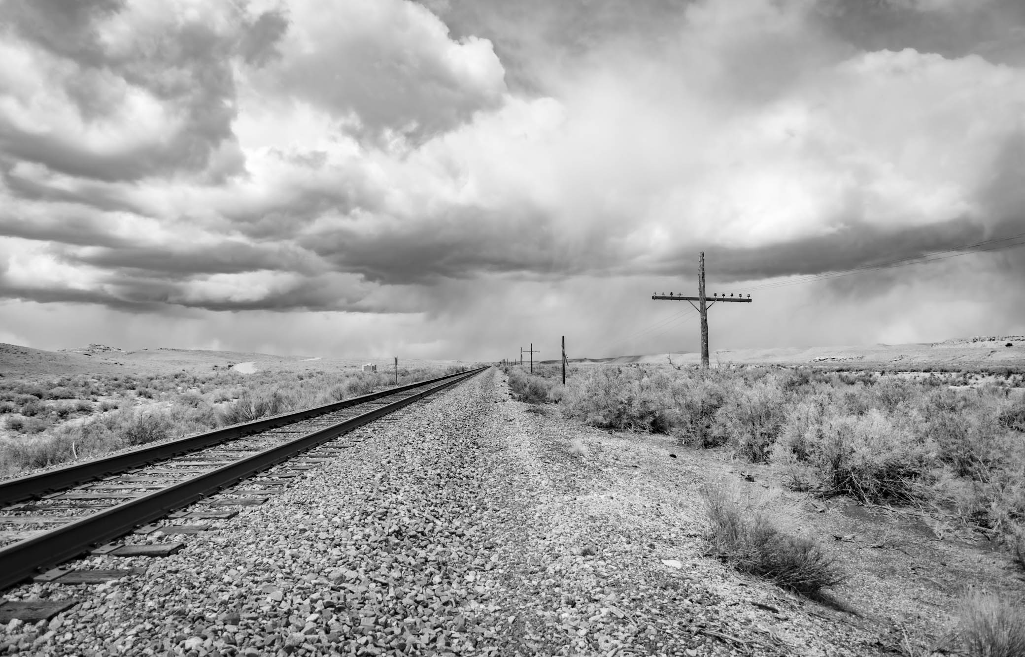 Tracks at Grassy Trail Creek, Price River Road, Wellington UT, April 24, 2022