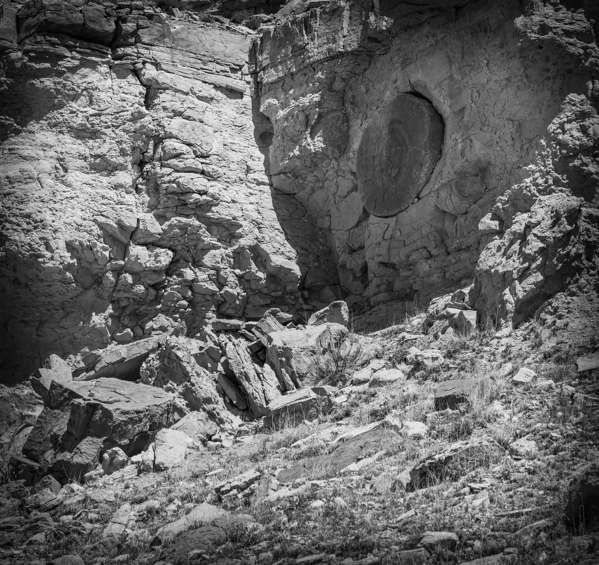 Detail, Buried Forest Concretions, Wellington UT, April 25, 2022